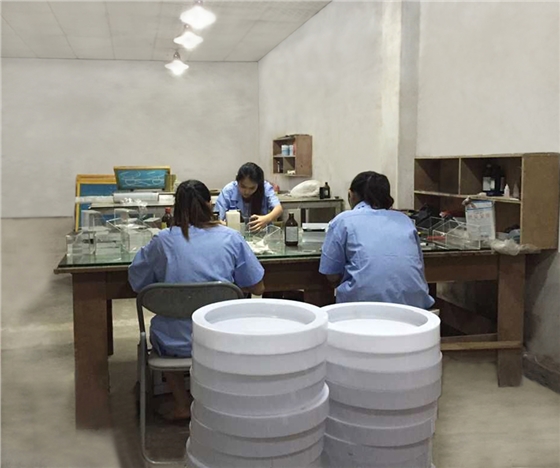 展示柜有機(jī)工藝區(qū) 展示柜有機(jī)工藝區(qū)