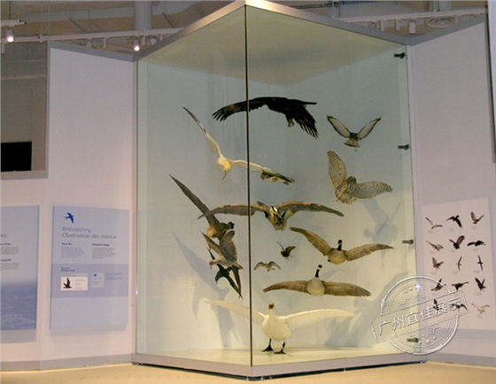 博物館展柜 博物館展柜